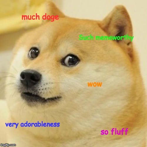 Doge Meme | much doge; Such memeworthy; wow; very adorableness; so fluff | image tagged in memes,doge | made w/ Imgflip meme maker