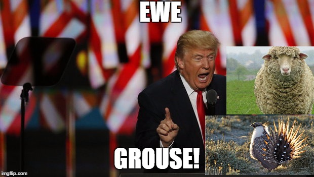 Trump and wilderness | EWE; GROUSE! | image tagged in trump 2016,wilderness,animals | made w/ Imgflip meme maker
