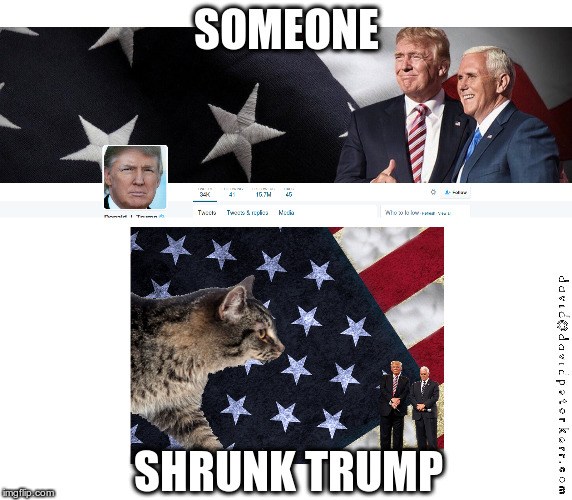 Some Shrunk Trump | SOMEONE; SHRUNK TRUMP | image tagged in donald trump,trump | made w/ Imgflip meme maker