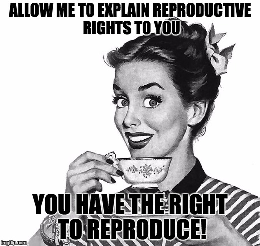 Reproductive Rights Explained | ALLOW ME TO EXPLAIN REPRODUCTIVE RIGHTS TO YOU; YOU HAVE THE RIGHT TO REPRODUCE! | image tagged in retro woman teacup,reproductive rights,abortion,feminism | made w/ Imgflip meme maker