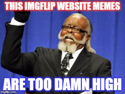 Too Damn High | THIS IMGFLIP WEBSITE MEMES; ARE TOO DAMN HIGH | image tagged in memes,too damn high | made w/ Imgflip meme maker