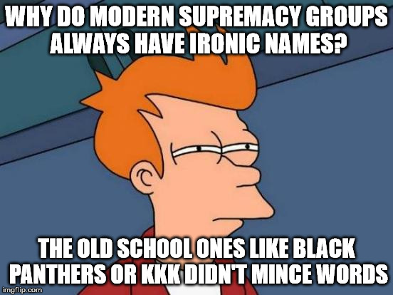 Futurama Fry Meme | WHY DO MODERN SUPREMACY GROUPS ALWAYS HAVE IRONIC NAMES? THE OLD SCHOOL ONES LIKE BLACK PANTHERS OR KKK DIDN'T MINCE WORDS | image tagged in memes,futurama fry | made w/ Imgflip meme maker