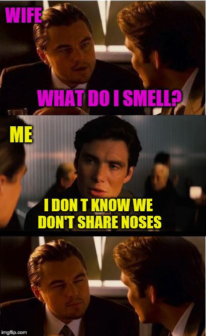 Inception Meme | WIFE; WHAT DO I SMELL? ME; I DON T KNOW WE DON'T SHARE NOSES | image tagged in memes,inception | made w/ Imgflip meme maker