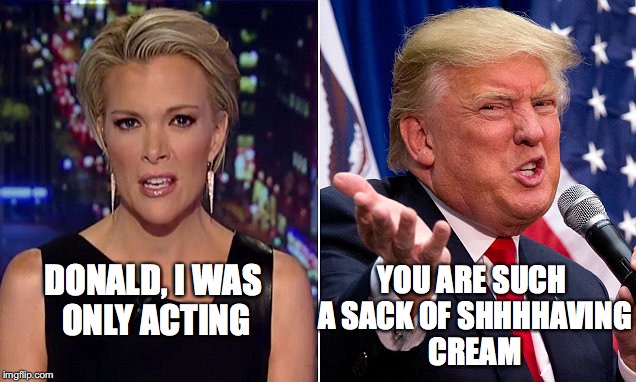 Donald And Megan | YOU ARE SUCH A SACK OF SHHHHAVING CREAM; DONALD, I WAS ONLY ACTING | image tagged in scolding,donald trump,megan kelly | made w/ Imgflip meme maker