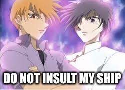 DO NOT INSULT MY SHIP | image tagged in scary sohma guys | made w/ Imgflip meme maker
