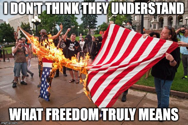 antitrump_protesters | I DON'T THINK THEY UNDERSTAND; WHAT FREEDOM TRULY MEANS | image tagged in antitrump_protesters | made w/ Imgflip meme maker