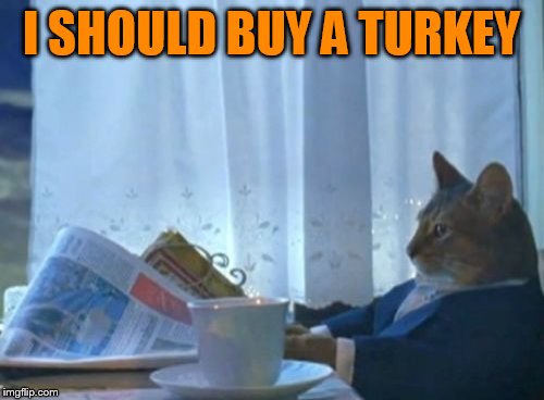 I Should Buy A Boat Cat Meme | I SHOULD BUY A TURKEY | image tagged in memes,i should buy a boat cat | made w/ Imgflip meme maker