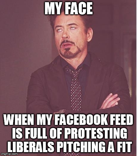 I hit Hide Post on one, and two more take its place. | MY FACE; WHEN MY FACEBOOK FEED IS FULL OF PROTESTING LIBERALS PITCHING A FIT | image tagged in memes,face you make robert downey jr,protesting | made w/ Imgflip meme maker