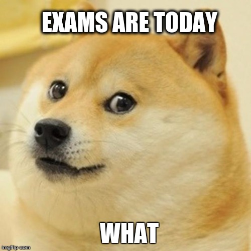 Doge | EXAMS ARE TODAY; WHAT | image tagged in memes,doge | made w/ Imgflip meme maker