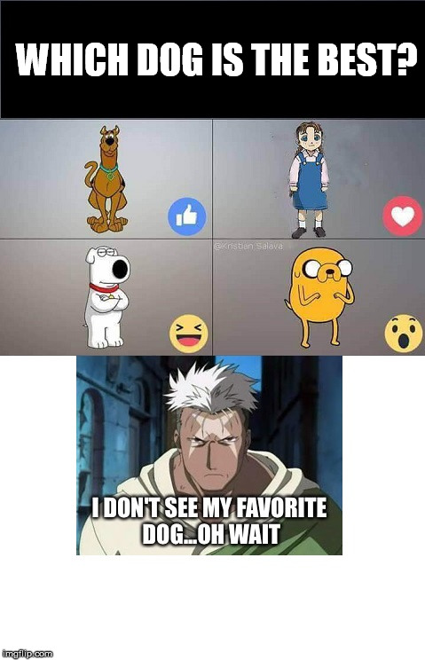 If you have seen Full Metal Alchemist, you would understand. | WHICH DOG IS THE BEST? | image tagged in memes,full metal,dogs | made w/ Imgflip meme maker