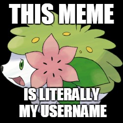 Self-explanatory | THIS MEME; IS LITERALLY MY USERNAME | image tagged in shaymin | made w/ Imgflip meme maker