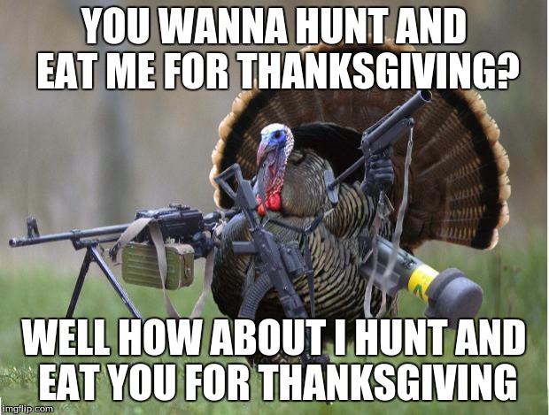 Revenge turkey | YOU WANNA HUNT AND EAT ME FOR THANKSGIVING? WELL HOW ABOUT I HUNT AND EAT YOU FOR THANKSGIVING | image tagged in turkey | made w/ Imgflip meme maker