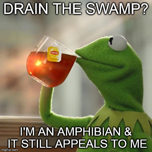 But That's None Of My Business | DRAIN THE SWAMP? I'M AN AMPHIBIAN & IT STILL APPEALS TO ME | image tagged in memes,but thats none of my business,kermit the frog | made w/ Imgflip meme maker