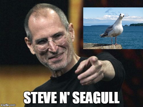 Steve N Seagull |  STEVE N' SEAGULL | image tagged in memes,steve jobs | made w/ Imgflip meme maker