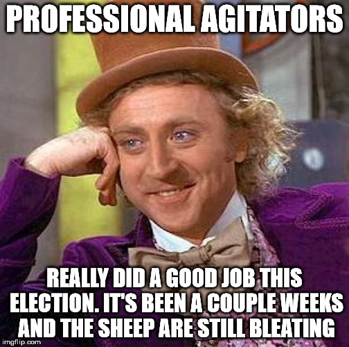 Creepy Condescending Wonka Meme | PROFESSIONAL AGITATORS REALLY DID A GOOD JOB THIS ELECTION. IT'S BEEN A COUPLE WEEKS AND THE SHEEP ARE STILL BLEATING | image tagged in memes,creepy condescending wonka | made w/ Imgflip meme maker