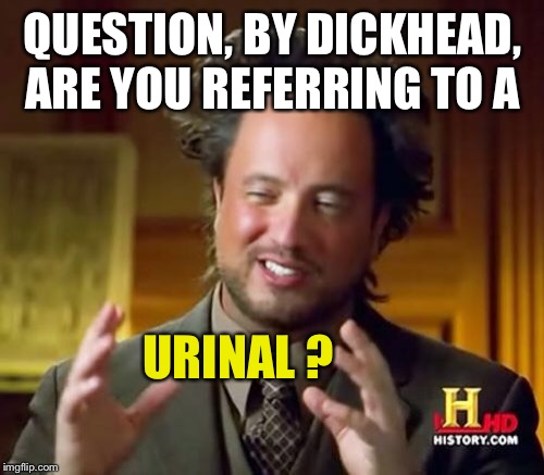Ancient Aliens Meme | QUESTION, BY DICKHEAD, ARE YOU REFERRING TO A URINAL ? | image tagged in memes,ancient aliens | made w/ Imgflip meme maker