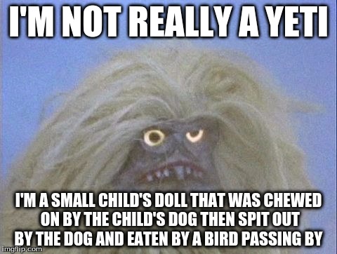 Annoyed and confused Yeti | I'M NOT REALLY A YETI; I'M A SMALL CHILD'S DOLL THAT WAS CHEWED ON BY THE CHILD'S DOG THEN SPIT OUT BY THE DOG AND EATEN BY A BIRD PASSING BY | image tagged in annoyed and confused yeti | made w/ Imgflip meme maker