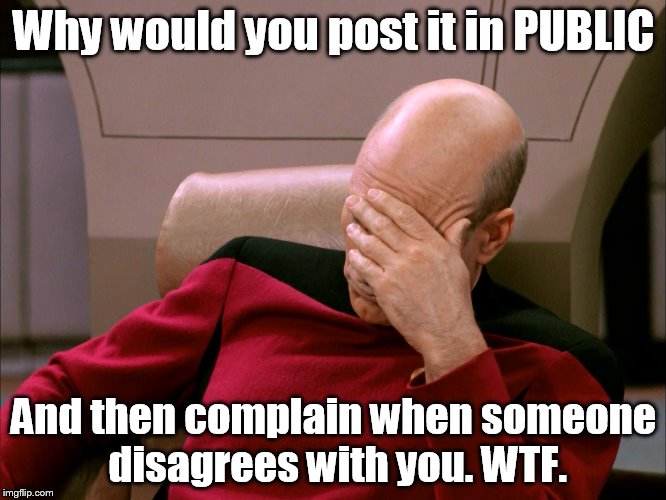face palm large | Why would you post it in PUBLIC; And then complain when someone disagrees with you. WTF. | image tagged in face palm large | made w/ Imgflip meme maker