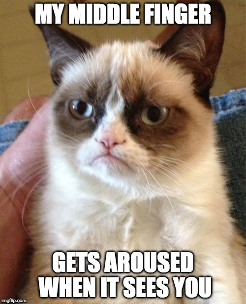 Grump Cat still likes the bird. | MY MIDDLE FINGER; GETS AROUSED WHEN IT SEES YOU | image tagged in memes,grumpy cat,the bird,bacon | made w/ Imgflip meme maker