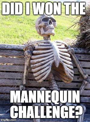 DID I WON THE MANNEQUIN CHALLENGE? | image tagged in memes,waiting skeleton | made w/ Imgflip meme maker