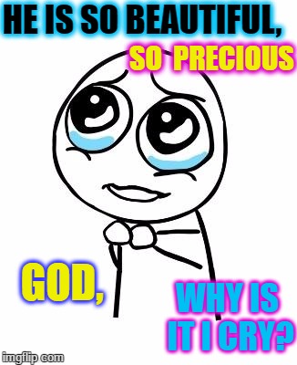 pleaseguy | HE IS SO BEAUTIFUL, SO 
PRECIOUS; GOD, WHY IS IT I CRY? | image tagged in pleaseguy | made w/ Imgflip meme maker