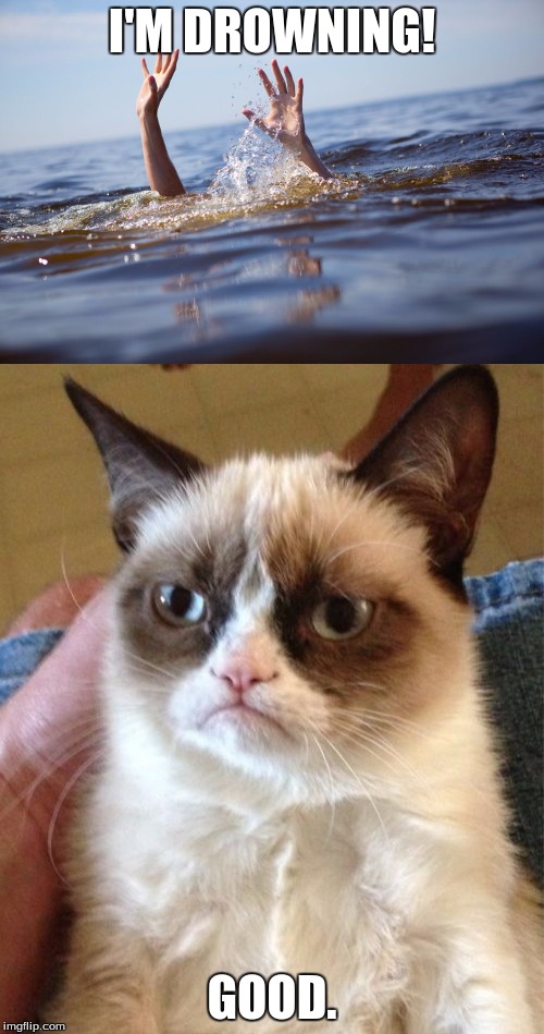 Grumpy cat | I'M DROWNING! GOOD. | image tagged in grumpy cat,memes | made w/ Imgflip meme maker