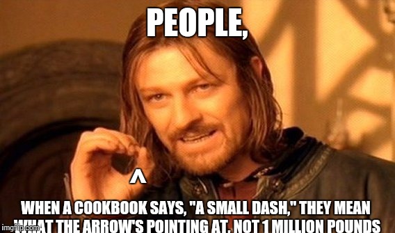 Many's a time good dishes have been ruined by too much seasoning. | PEOPLE, ^; WHEN A COOKBOOK SAYS, "A SMALL DASH," THEY MEAN WHAT THE ARROW'S POINTING AT, NOT 1 MILLION POUNDS | image tagged in memes,one does not simply | made w/ Imgflip meme maker