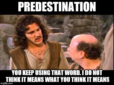 Inigo Montoya | PREDESTINATION; YOU KEEP USING THAT WORD. I DO NOT THINK IT MEANS WHAT YOU THINK IT MEANS | image tagged in inigo montoya | made w/ Imgflip meme maker