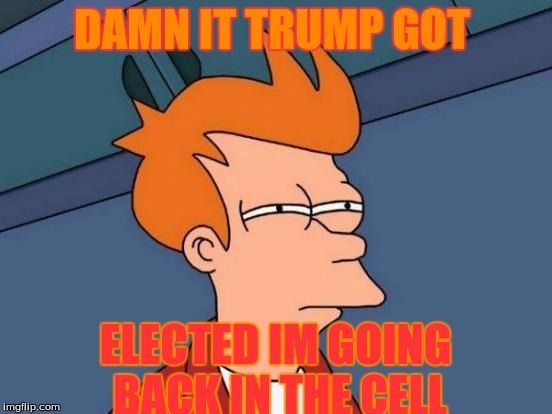 Futurama Fry Meme | DAMN IT TRUMP GOT; ELECTED IM GOING BACK IN THE CELL | image tagged in memes,futurama fry | made w/ Imgflip meme maker