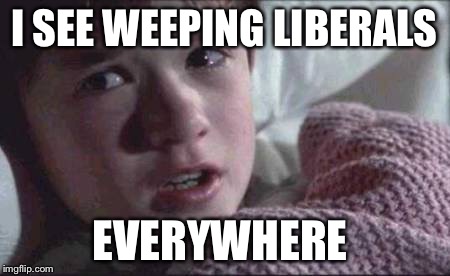 I See Dead People | I SEE WEEPING LIBERALS; EVERYWHERE | image tagged in memes,i see dead people | made w/ Imgflip meme maker