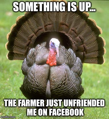Saw this on FB and chuckled | SOMETHING IS UP... THE FARMER JUST UNFRIENDED ME ON FACEBOOK | image tagged in memes,turkey,facebook | made w/ Imgflip meme maker