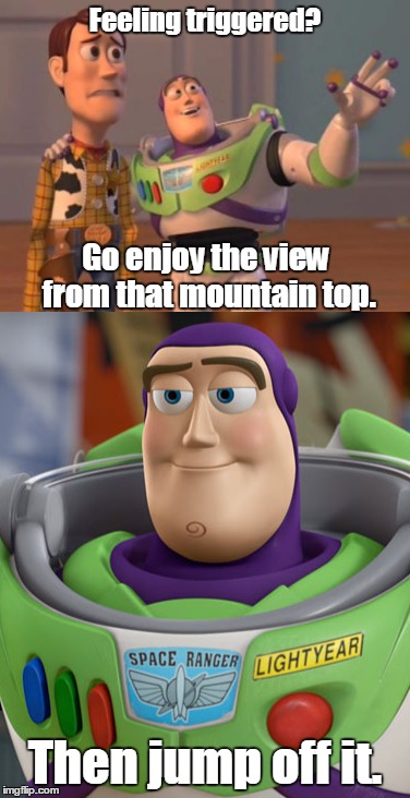 Feeling triggered? Go enjoy the view from that mountain top. Then jump off it. | image tagged in buzz lightyear,triggered | made w/ Imgflip meme maker