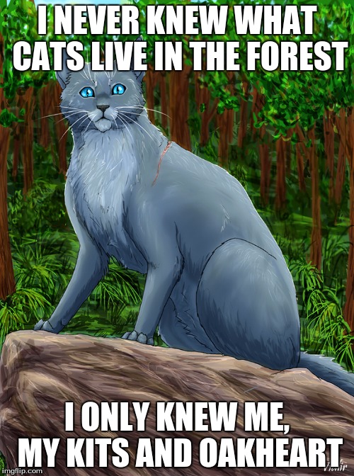 bluestar | I NEVER KNEW WHAT CATS LIVE IN THE FOREST; I ONLY KNEW ME, MY KITS AND OAKHEART | image tagged in warriors,bluestar | made w/ Imgflip meme maker