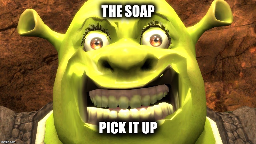 THE SOAP; PICK IT UP | image tagged in shrek | made w/ Imgflip meme maker