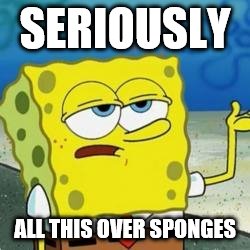 Spongebob I'll have you know | SERIOUSLY; ALL THIS OVER SPONGES | image tagged in spongebob i'll have you know | made w/ Imgflip meme maker