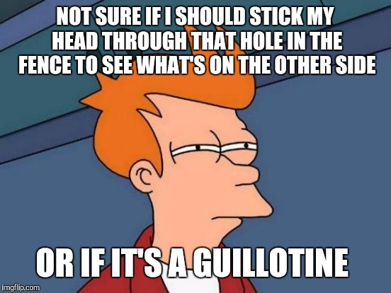Futurama Fry Meme | NOT SURE IF I SHOULD STICK MY HEAD THROUGH THAT HOLE IN THE FENCE TO SEE WHAT'S ON THE OTHER SIDE OR IF IT'S A GUILLOTINE | image tagged in memes,futurama fry | made w/ Imgflip meme maker