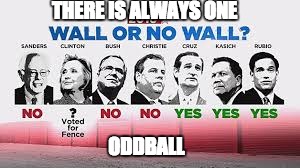 the only oddball | THERE IS ALWAYS ONE; ODDBALL | image tagged in election 2016,hillary clinton | made w/ Imgflip meme maker