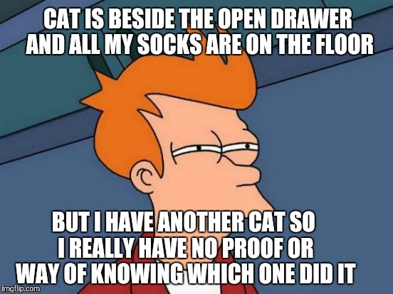 Futurama Fry Meme | CAT IS BESIDE THE OPEN DRAWER AND ALL MY SOCKS ARE ON THE FLOOR; BUT I HAVE ANOTHER CAT SO I REALLY HAVE NO PROOF OR WAY OF KNOWING WHICH ONE DID IT | image tagged in memes,futurama fry | made w/ Imgflip meme maker