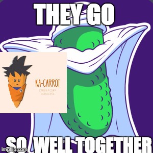 pickle-oh and ka-carrot | THEY GO; SO  WELL TOGETHER | image tagged in dbz,dragon ball z,derp face | made w/ Imgflip meme maker