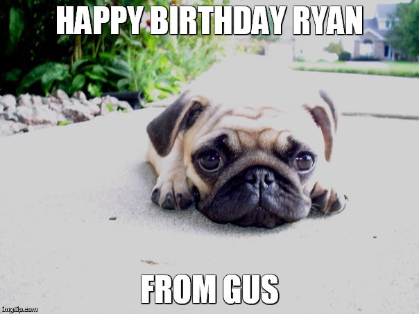Gus | HAPPY BIRTHDAY RYAN; FROM GUS | image tagged in birthday from gus | made w/ Imgflip meme maker
