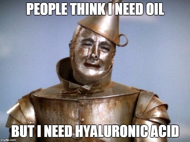 PEOPLE THINK I NEED OIL; BUT I NEED HYALURONIC ACID | image tagged in sad tin man wizard of oz | made w/ Imgflip meme maker