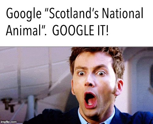 . | made w/ Imgflip meme maker