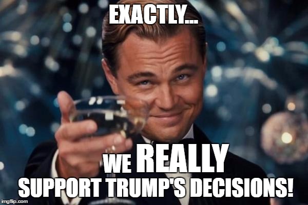 Leonardo Dicaprio Cheers Meme | EXACTLY... WE                   SUPPORT TRUMP'S DECISIONS! REALLY | image tagged in memes,leonardo dicaprio cheers | made w/ Imgflip meme maker