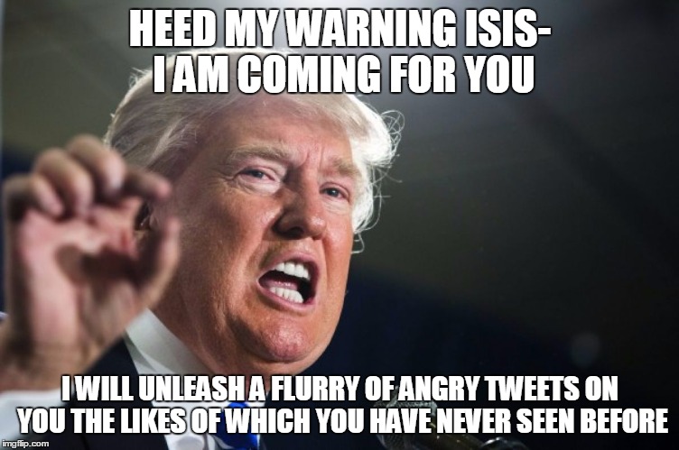 donald trump | HEED MY WARNING ISIS- I AM COMING FOR YOU; I WILL UNLEASH A FLURRY OF ANGRY TWEETS ON YOU THE LIKES OF WHICH YOU HAVE NEVER SEEN BEFORE | image tagged in donald trump | made w/ Imgflip meme maker