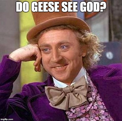 Creepy Condescending Wonka Meme | DO GEESE SEE GOD? | image tagged in memes,creepy condescending wonka | made w/ Imgflip meme maker
