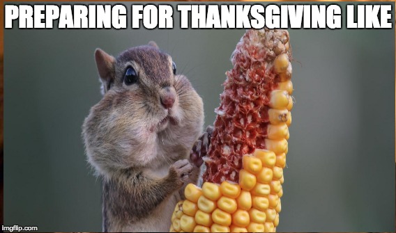 Thanksgiving | PREPARING FOR THANKSGIVING LIKE | image tagged in thanksgiving,food,cute,chubby,animals,goals | made w/ Imgflip meme maker