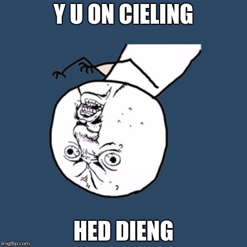 Y U No | Y U ON CIELING; HED DIENG | image tagged in memes,y u no | made w/ Imgflip meme maker