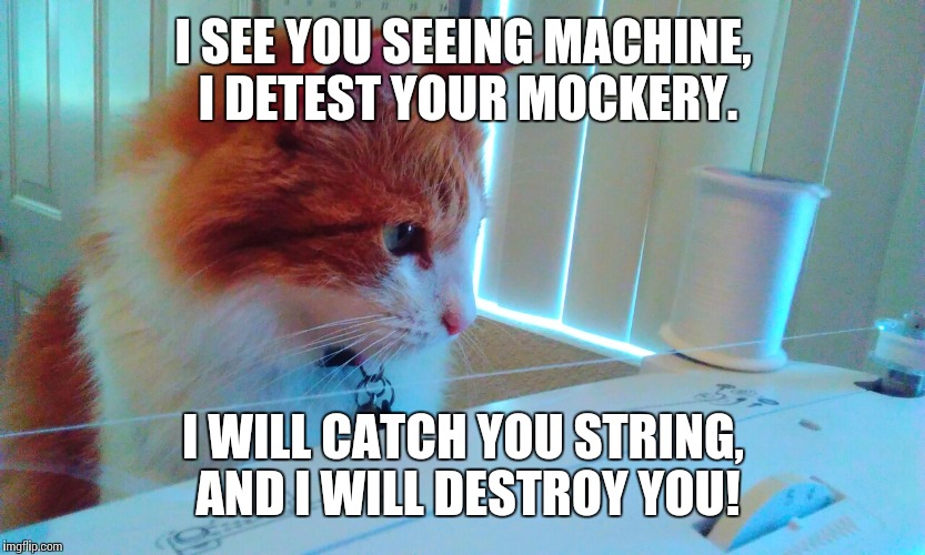Cats | I SEE YOU SEEING MACHINE, I DETEST YOUR MOCKERY. I WILL CATCH YOU STRING, AND I WILL DESTROY YOU! | image tagged in cats | made w/ Imgflip meme maker