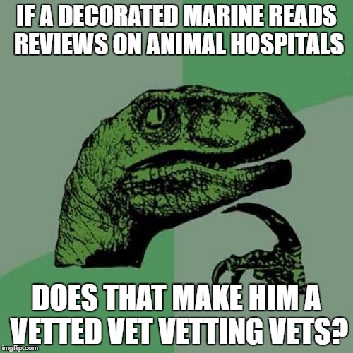 Philosoraptor Meme | IF A DECORATED MARINE READS REVIEWS ON ANIMAL HOSPITALS; DOES THAT MAKE HIM A VETTED VET VETTING VETS? | image tagged in memes,philosoraptor | made w/ Imgflip meme maker