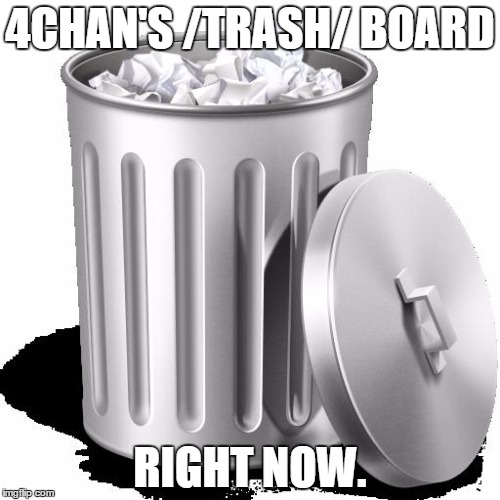 Trash can full | 4CHAN'S /TRASH/ BOARD; RIGHT NOW. | image tagged in trash can full,4chan,memes | made w/ Imgflip meme maker